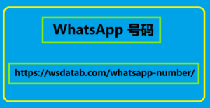 WhatsApp 号码