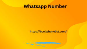 Whatsapp Number